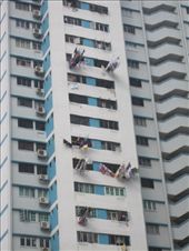 by cwalker1218, Views[349]