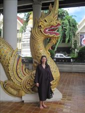 by cwalker1218, Views[322]