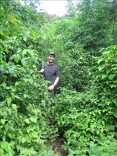 by cwalker1218, Views[373]