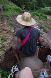 by cwalker1218, Views[325]