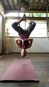 by cwalker1218, Views[1382]