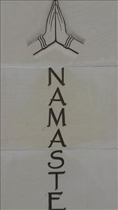 by cwalker1218, Views[294]