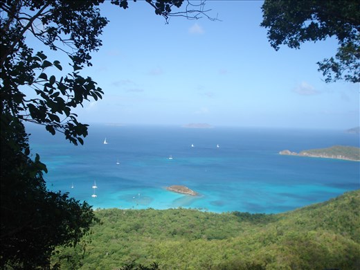 a small clearing on a trail is all I needed for a beautiful view of Cinnamon Bay