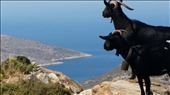 2 is better !: by cyclades, Views[182]
