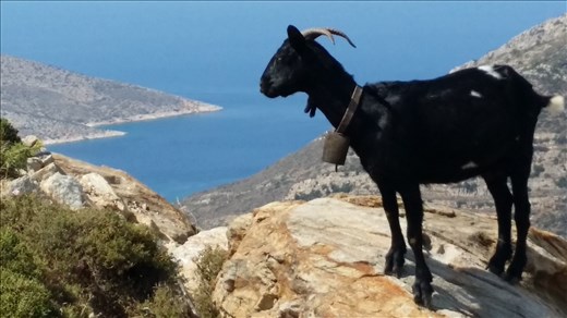 Alone with the sea...