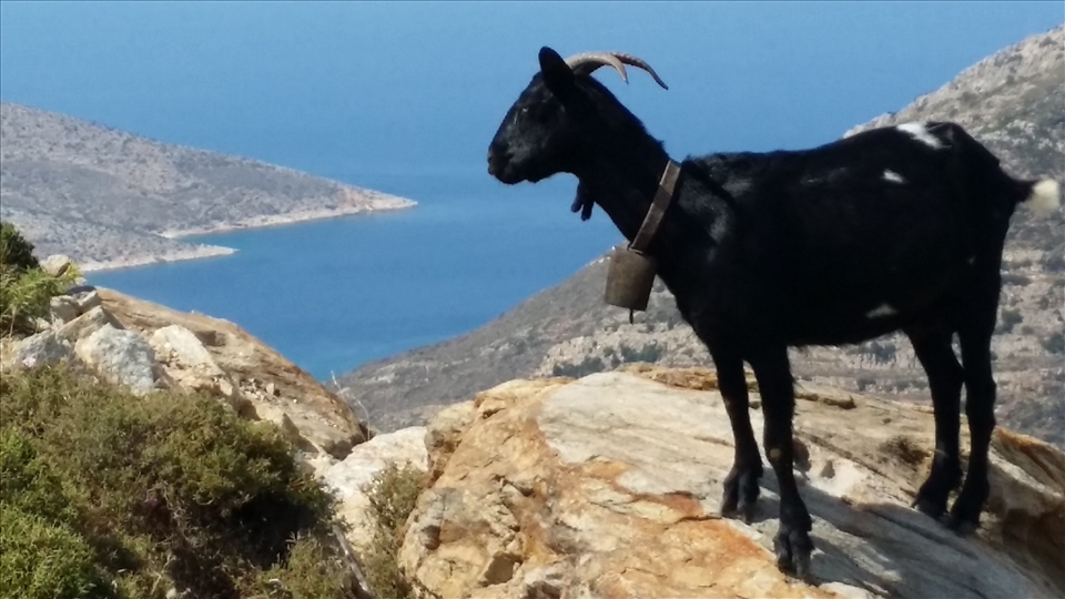 Alone with the sea...