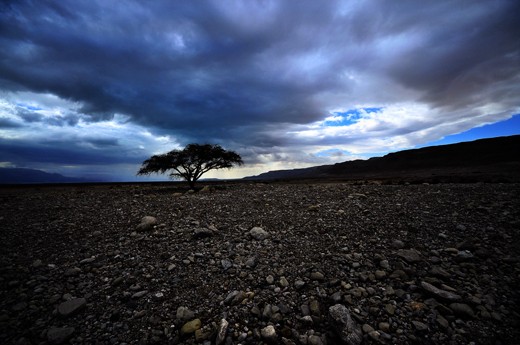 Loneliness - the desert the Dead Sea area is difficult and even cruel and theref