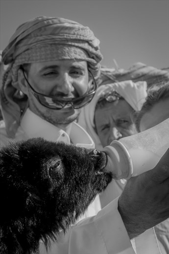 Bedouins feeding a little goat