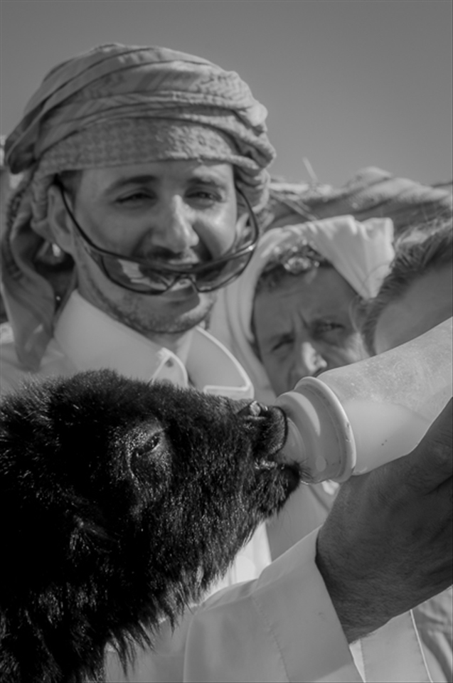 Bedouins feeding a little goat