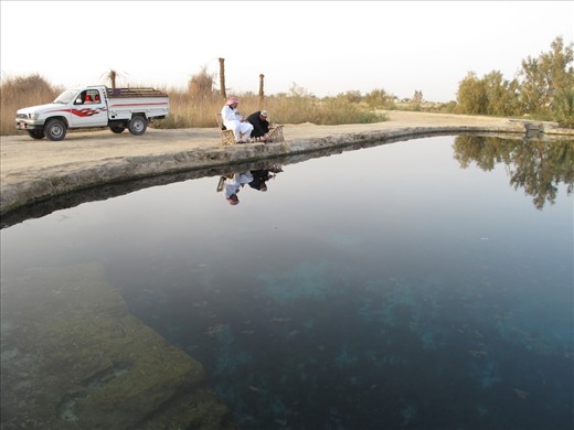 All appears calm as Mohamed and Fathi sip mint tea by Abu Sharuf spring and reflect on their olive and date business. Since ancient Egyptian times, their families have lived and worked in Siwa but with a crumbling Egyptian economy and rising salinity levels, in an oasis 17 meters below sea level, these two cousins have a lot on their minds. 