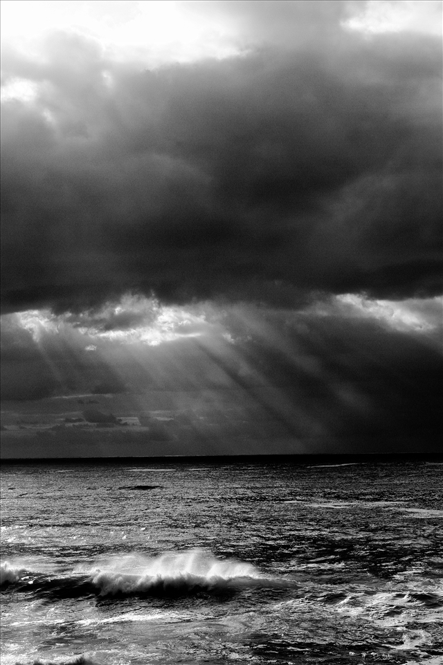 So I came back another day, just before going to work