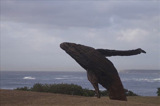 These was a sculpture but it looks a real whale splashing around