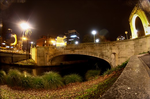 An eerie and still patience, that only nature can stand.