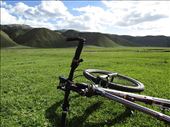 My iron horse: by dalin, Views[120]