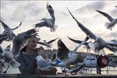 It sparks great curiosity in me that even in an environment so distinctively redesigned by man you can still feel encompassed by nature. Seagulls have successfully adapted to human alteration of their environment, unfortunately this is a feat not many species can achieve.: by dallasjay, Views[330]