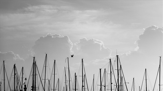 Although constructed to act as a safe haven for this tangled web of sails, the harbour has so much more to offer. People have capitalised on this with their coastal lifestyle.