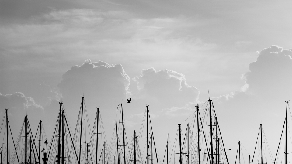 Although constructed to act as a safe haven for this tangled web of sails, the harbour has so much more to offer. People have capitalised on this with their coastal lifestyle.