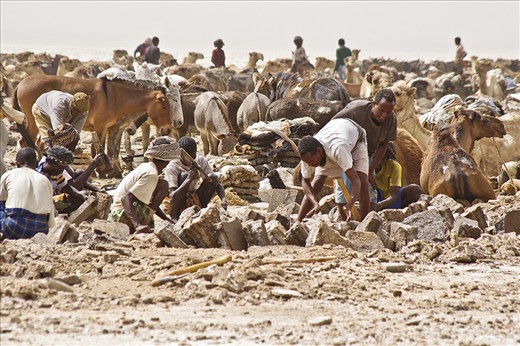Big plates of salt are cut by hand in small rectangular shape. The conditions are extreme with temperetures reaching 50C in the coolest season.