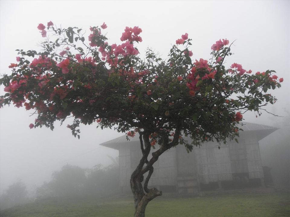 Upon leaving Wae Rebo in a borrowed smokey raincoat, one last look at the village that has already dissapeared into the fog affirming its nickname as ''The Village Behind the Clouds''.