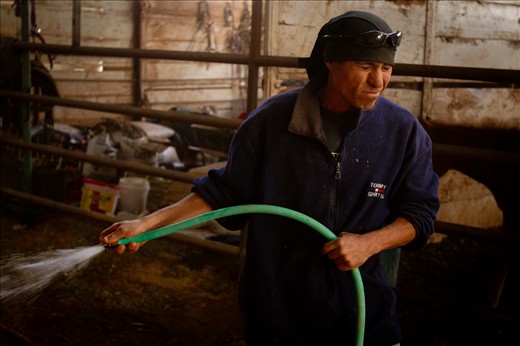 Eduardo, an undocumented immigrant braces himself against sand and dust whipped up by a windstorm as he alone cares for over 100 horses on a ranch near Chaparall, New Mexico.