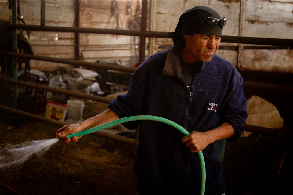 Eduardo, an undocumented immigrant braces himself against sand and dust whipped up by a windstorm as he alone cares for over 100 horses on a ranch near Chaparall, New Mexico.