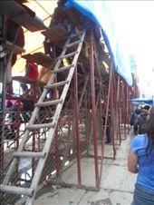 by danalee, Views[201]