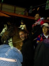 a horse!: by danalee, Views[176]