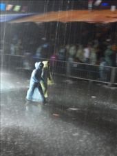 hello rain: by danalee, Views[175]