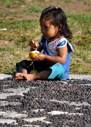 WAITING FOR MOMMY – A little girl is busy eating a fruit while waiting for her mommy drying coffee beans off in the sun. 