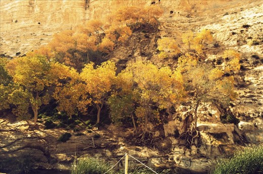 3: Dare to grow and take your place in the sun.