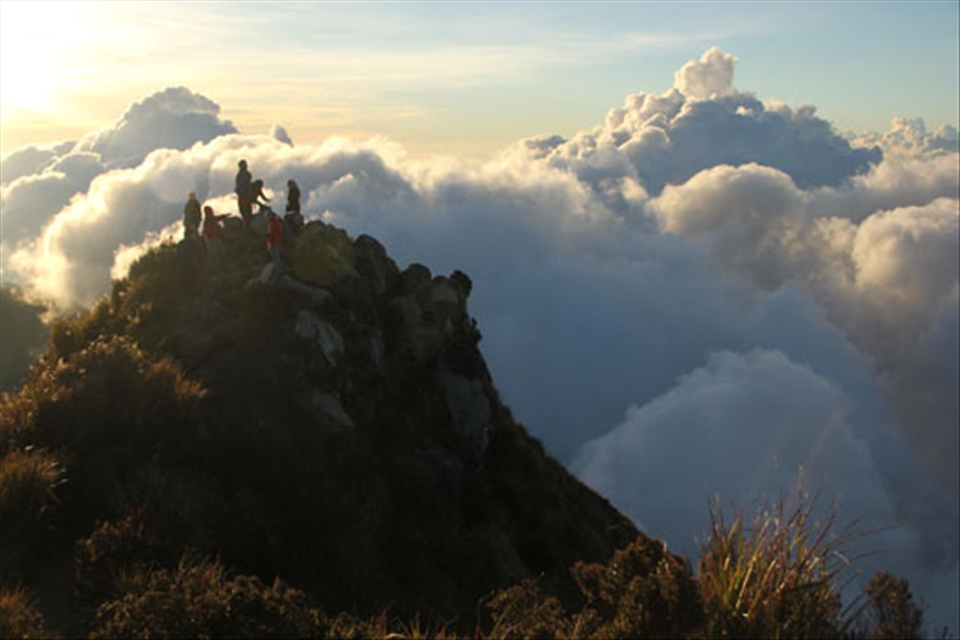 The group enjoying the sea of clouds at the Philippines's highest mountain.