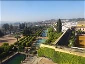 Córdoba Alcazar from above. : by dangerruss, Views[798]