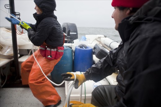 Joining oceanographers in field blue whale research at Corcovado Gulf.
