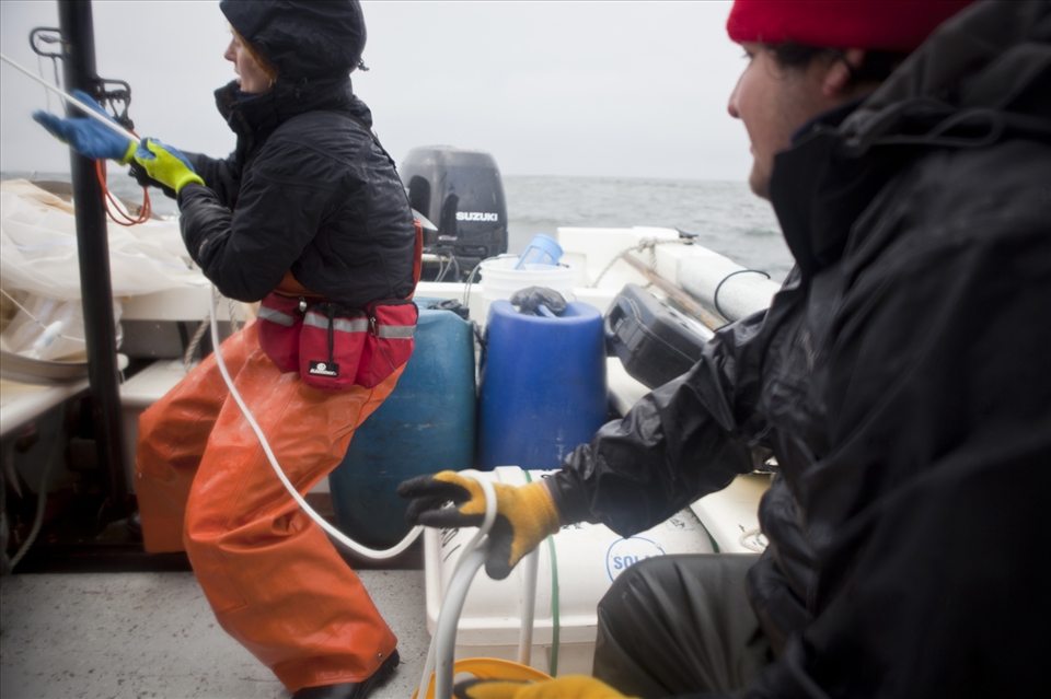 Joining oceanographers in field blue whale research at Corcovado Gulf.