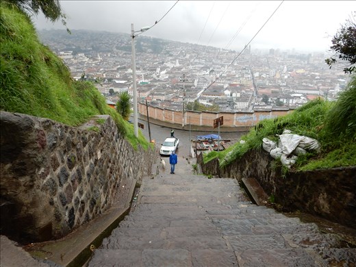 A portion of the long set of stairs. Altitude at 9000 ft  was definitely a factor. 