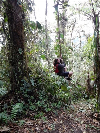 Me Tarzan. Me not so good at being Tarzan.