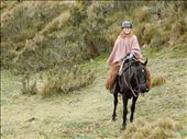 Danielle's horses name was Carbon. She said he was always trying to eat. : by danidawnandstevo, Views[407]