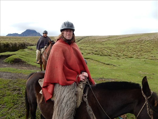 My horses name was Gomez. I called him Gomer because he was.