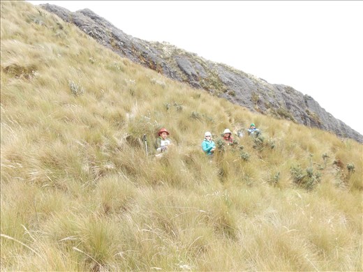 Lunch in the grass at Pasocha.