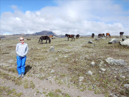 This part of the park was very interesting. Wild horses roam freely and boulders spit out by the Cotopaxi volcano litter the landscape. They tell us it blows approximately every one hundred years and it's been longer than that since it last blew. Long story short if it decides to blow anytime soon the hot lava, mud, rock and ash will follow this trail right to Quito. 
