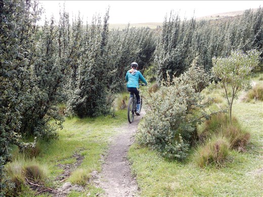 We finished off our last day at Bella Vista with a mountain bike ride. 