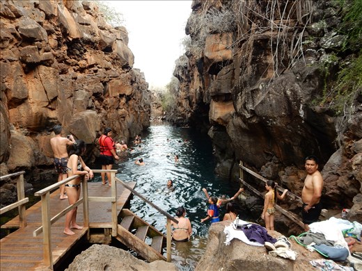 We arrived in Galapagos today and thought we were transported to another planet. We checked into our hotel room and opened the balcony only to find seals and iguanas laying around us snoozing. All of the animals are so tame you have to be careful not to trip over them. We went kayaking and saw Blue Footed Boobies and Marine Lizards that let crabs crawl all over them. Our guide took us to this amazing watering hole to swim and snorkel. We saw sharks, eels, sea turtles and when we got back our guide said that was just a warm up for what is to come. We can't wait for tomorrow! 