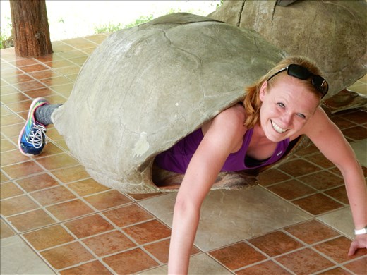 Danielle trying on a turtle shell for size. She says this is her spirit animal. 