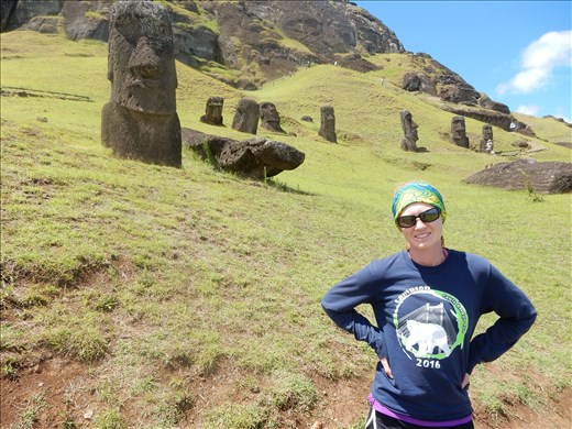 This crater was the birthplace of the Moai. The were literally cut out of the mountain side from this location and transported to remote locations around the island. 