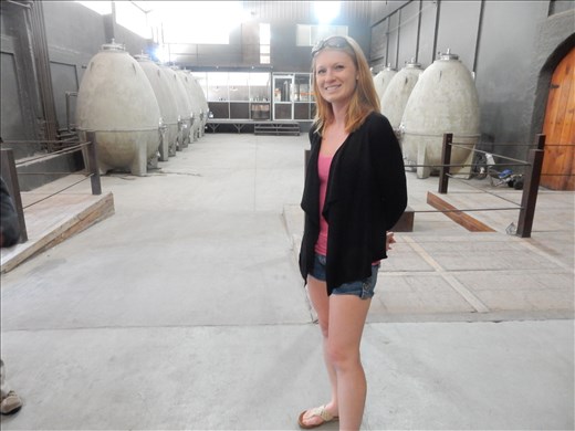 These concrete eggs are new technology for the winery and produces some of their premium wines. Instead of a cylindrical vat that collects all of the skins of the wine towards the top to be skimmed off, the egg allows the skins to move around adding more flavor to the wine. They have only been in use for a few years.