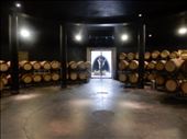 Hands down the most unique winery we visited. : by danidawnandstevo, Views[304]