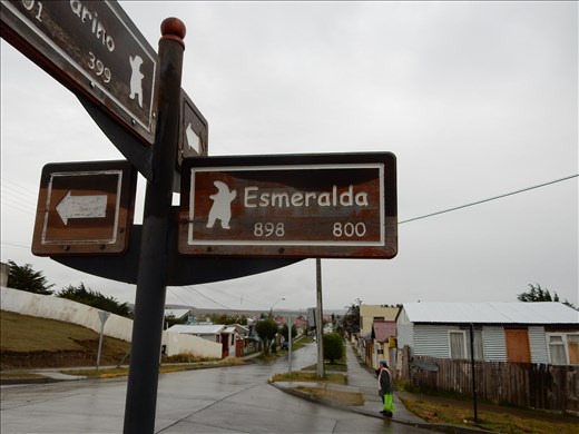We couldn't figure out if the little figure on the street signs was a penguin or the dancing polar bear on the Coke commercials. 