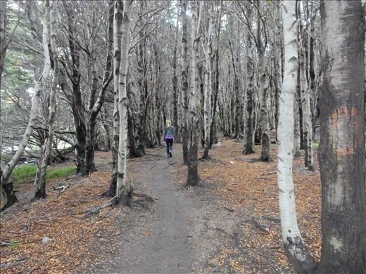 Day 3 was by far the longest of all the hikes.  We walked 25 km we and saw one landscape change after another. 