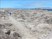 Isla Damas or as I call it Scrub Island. All we saw were gulls, vultures and cactus. : by danidawnandstevo, Views[291]