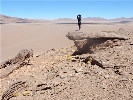 Our friend Xia Chi doing her best Simba impersonation. 